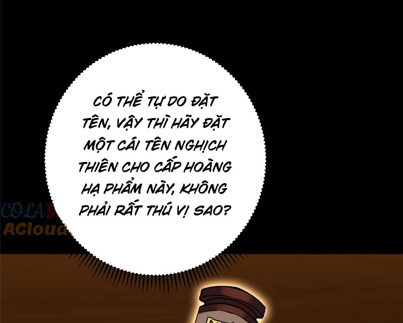 Chưởng Môn Khiêm Tốn Chút Chapter 432 - Trang 4