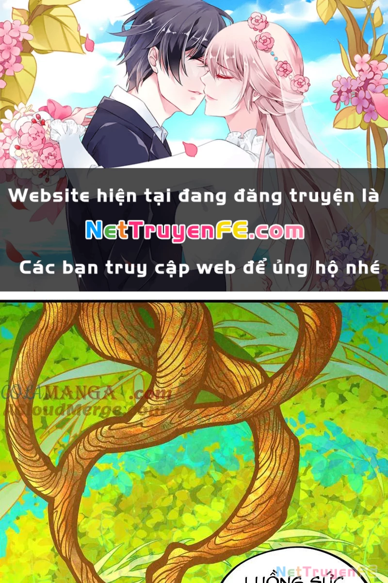 Vạn Cổ Chí Tôn Chapter 360 - Trang 4