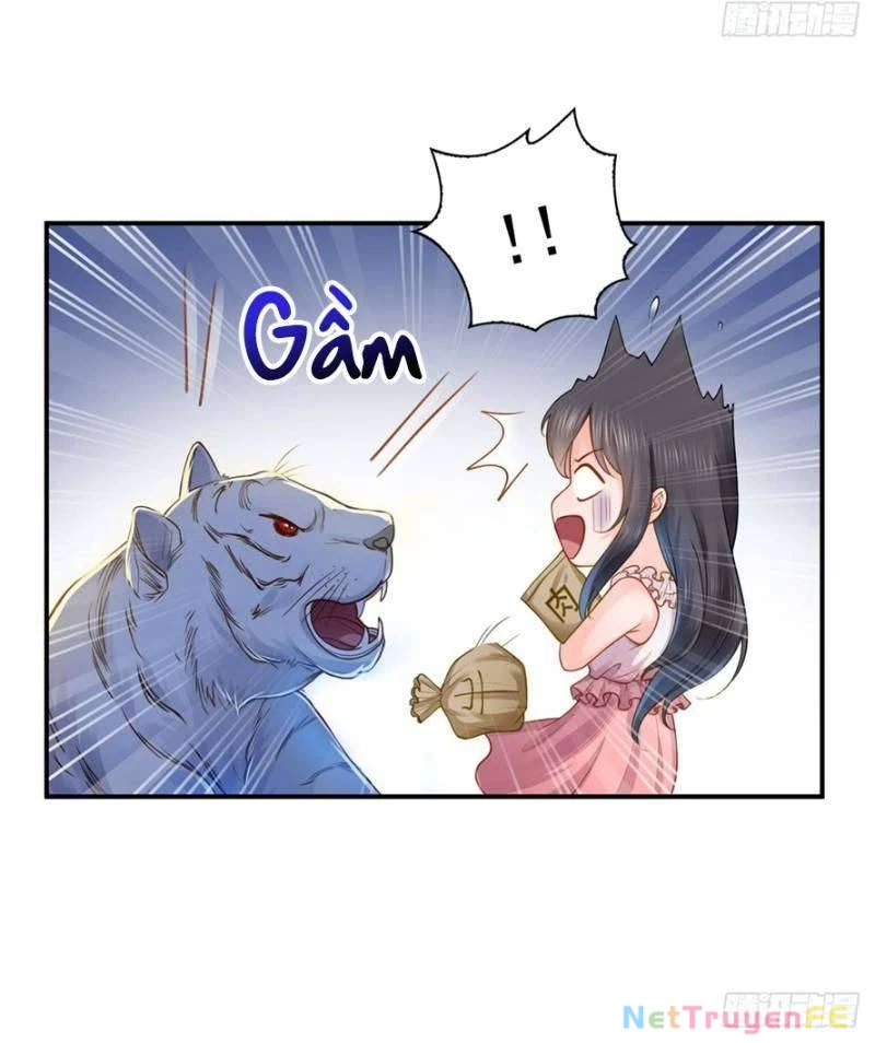 Hệt Như Hàn Quang Gặp Nắng Gắt Chap 47 - Trang 4