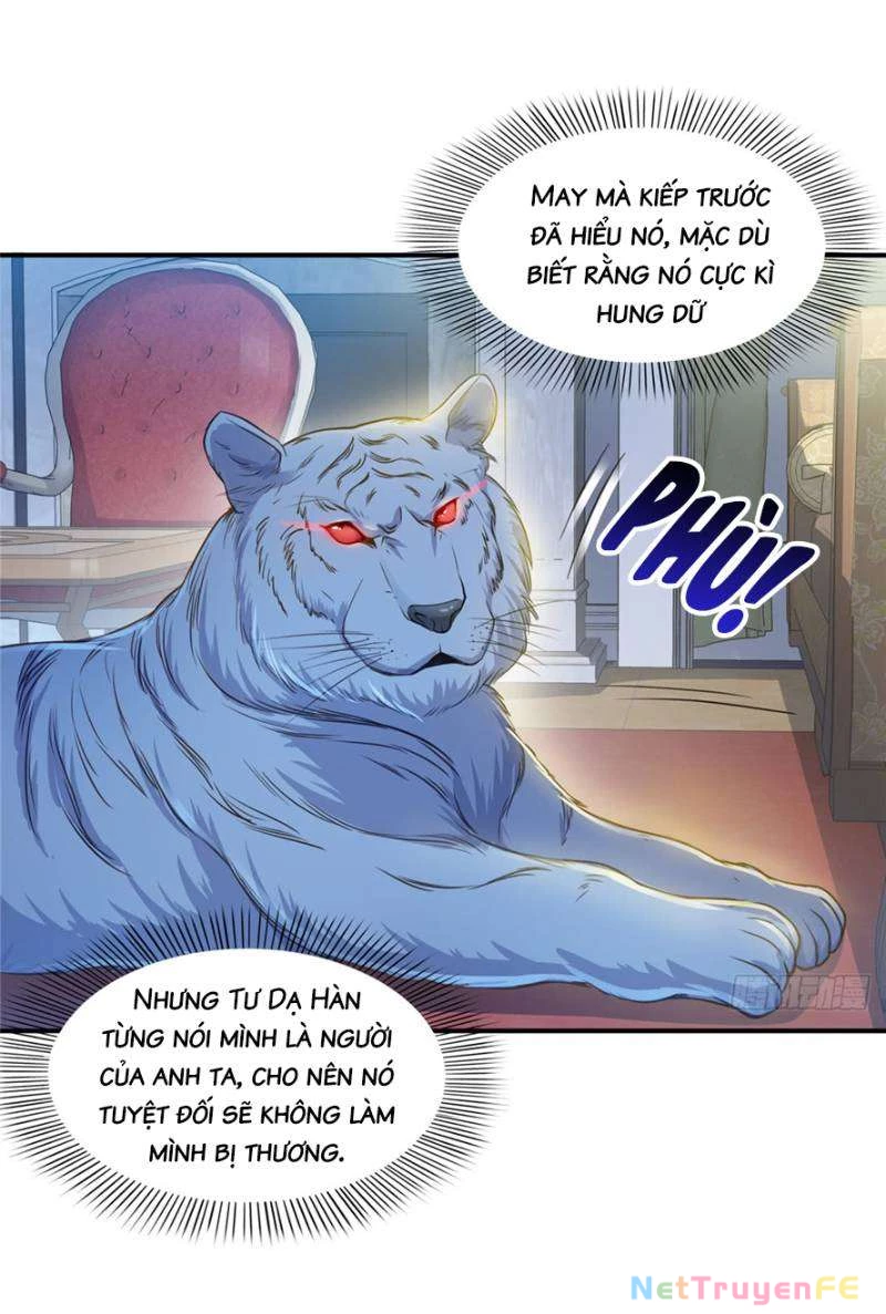 Hệt Như Hàn Quang Gặp Nắng Gắt Chap 47 - Trang 4