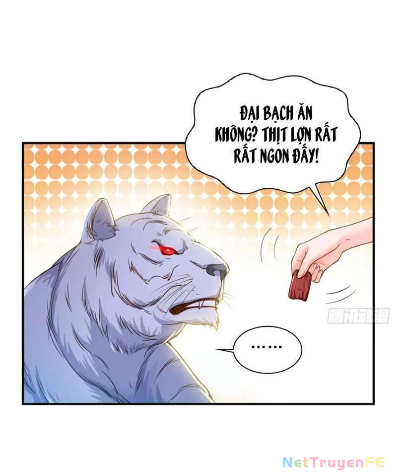 Hệt Như Hàn Quang Gặp Nắng Gắt Chap 47 - Trang 4