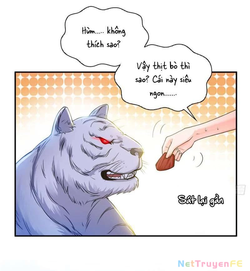 Hệt Như Hàn Quang Gặp Nắng Gắt Chap 47 - Trang 4