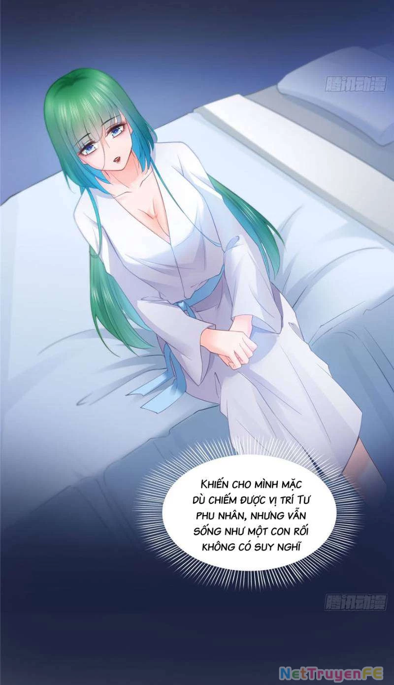 Hệt Như Hàn Quang Gặp Nắng Gắt Chap 54 - Trang 4