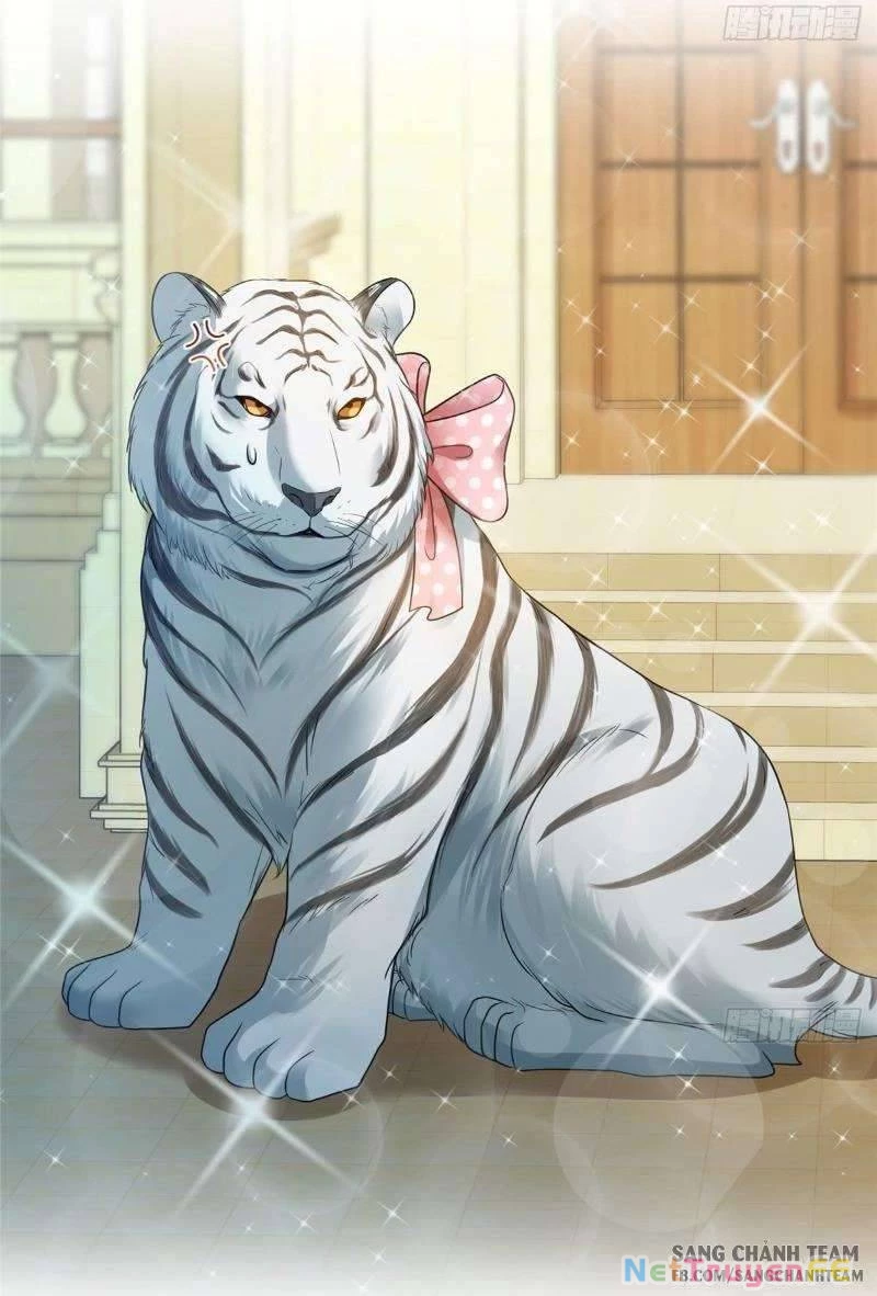 Hệt Như Hàn Quang Gặp Nắng Gắt Chap 64 - Trang 4