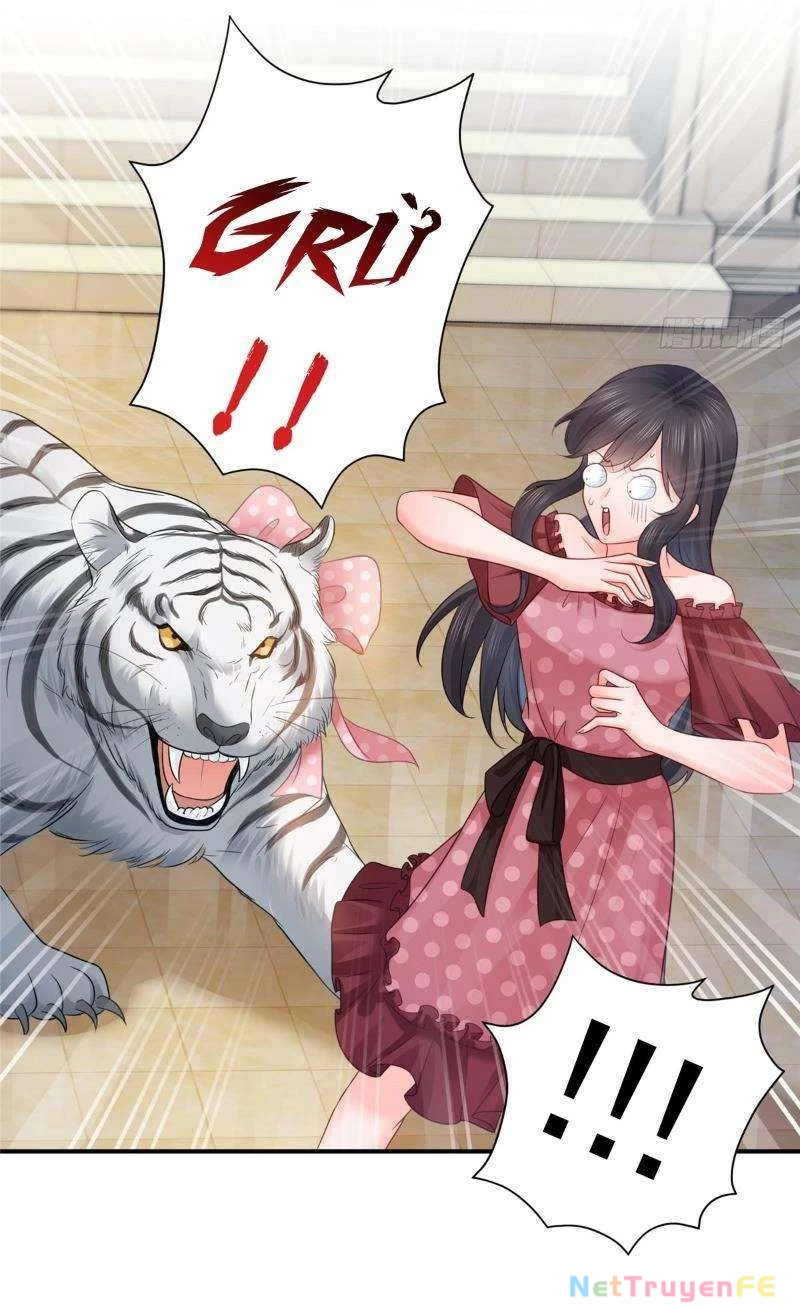 Hệt Như Hàn Quang Gặp Nắng Gắt Chap 64 - Trang 4