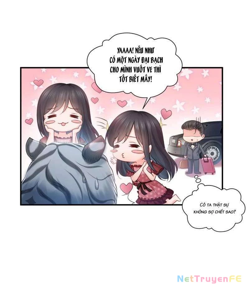 Hệt Như Hàn Quang Gặp Nắng Gắt Chap 64 - Trang 4