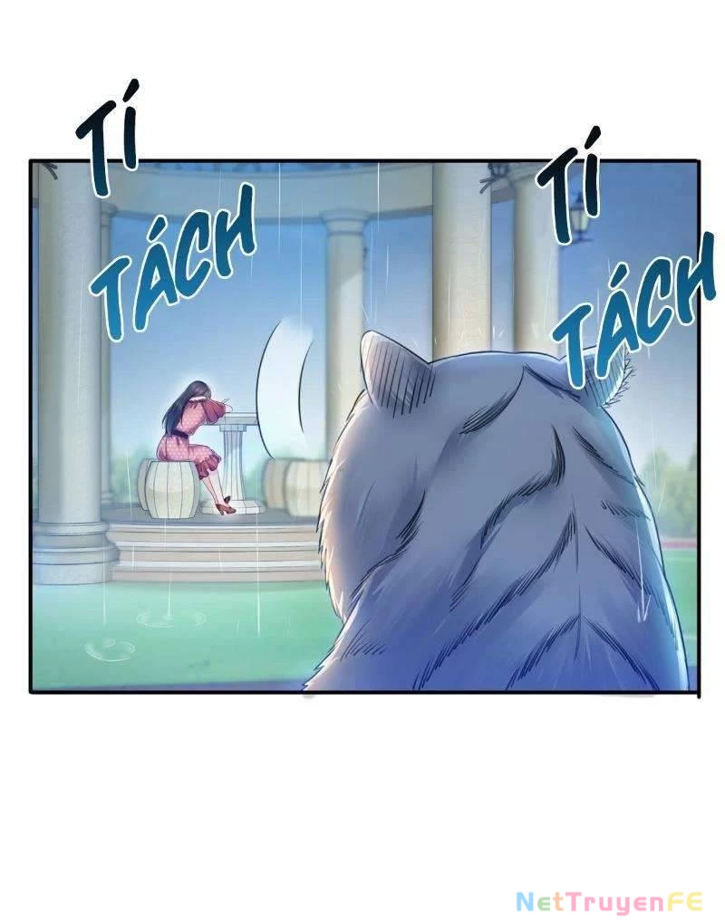 Hệt Như Hàn Quang Gặp Nắng Gắt Chap 65 - Trang 4