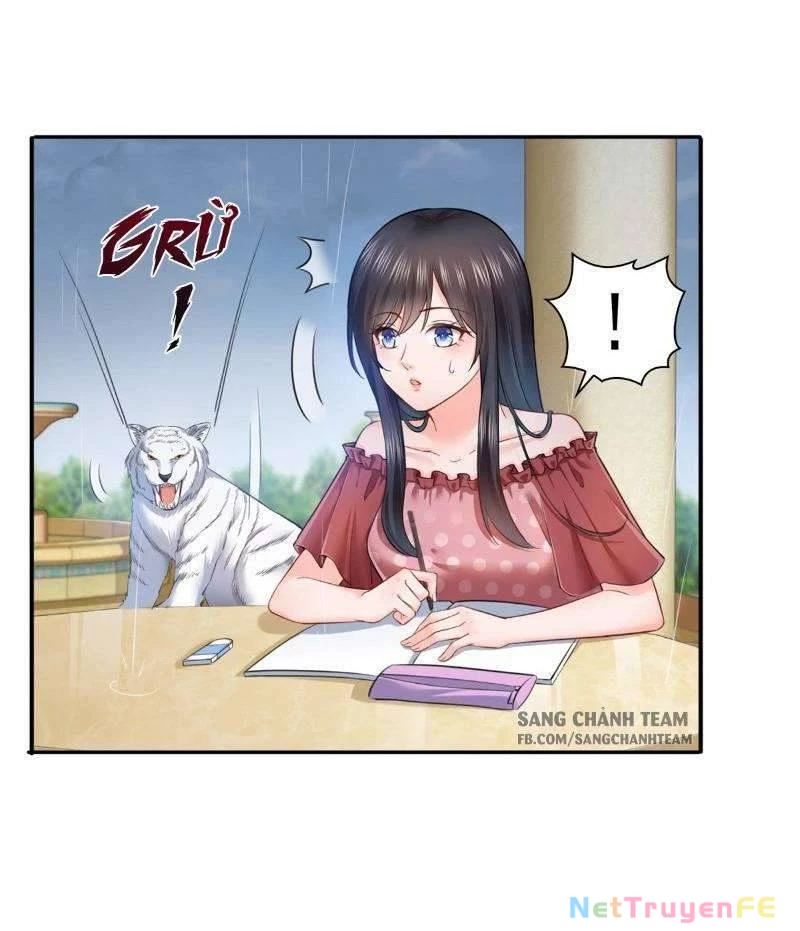 Hệt Như Hàn Quang Gặp Nắng Gắt Chap 65 - Trang 4