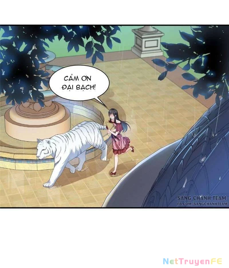 Hệt Như Hàn Quang Gặp Nắng Gắt Chap 65 - Trang 4