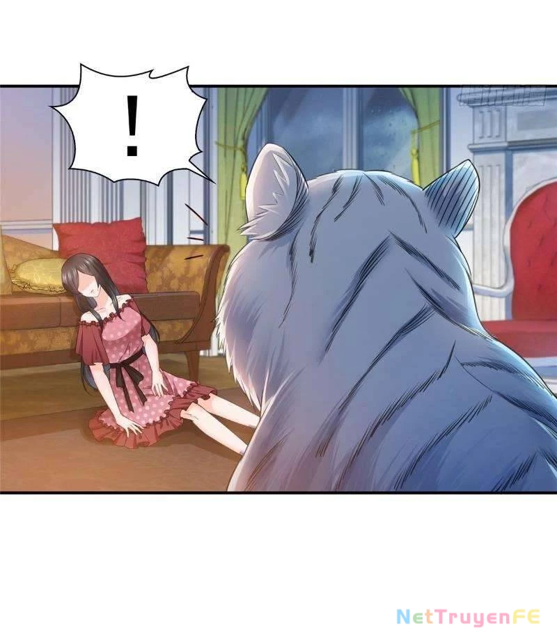 Hệt Như Hàn Quang Gặp Nắng Gắt Chap 65 - Trang 4