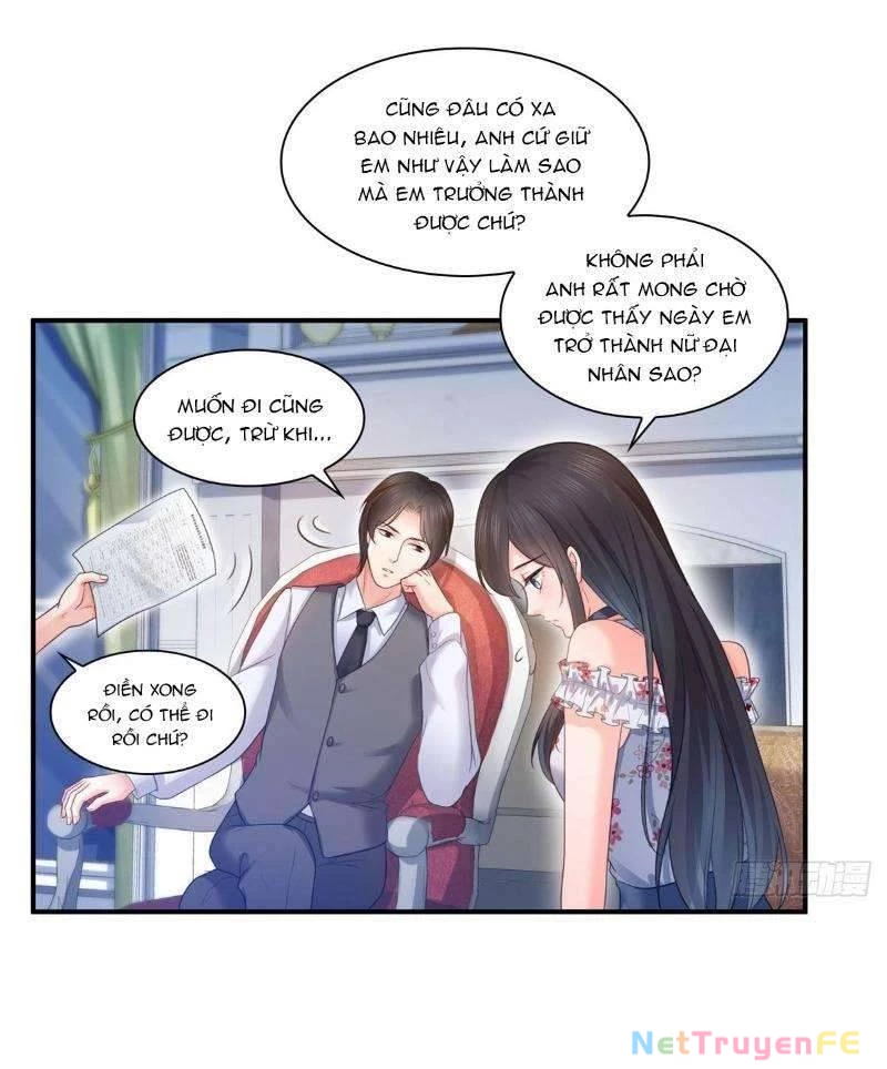 Hệt Như Hàn Quang Gặp Nắng Gắt Chap 67 - Trang 4