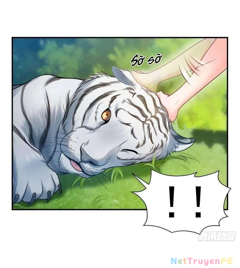 Hệt Như Hàn Quang Gặp Nắng Gắt Chap 67 - Trang 4