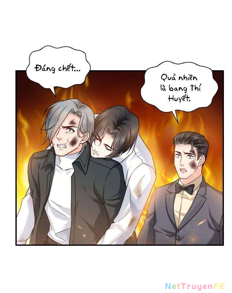 Hệt Như Hàn Quang Gặp Nắng Gắt Chap 102 - Trang 4