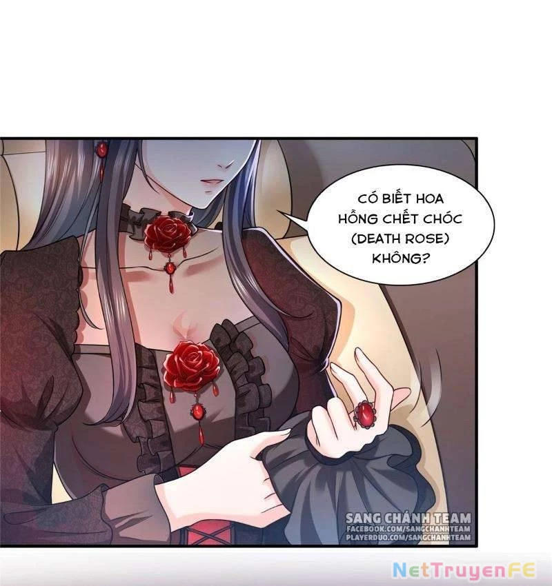 Hệt Như Hàn Quang Gặp Nắng Gắt Chap 102 - Trang 4