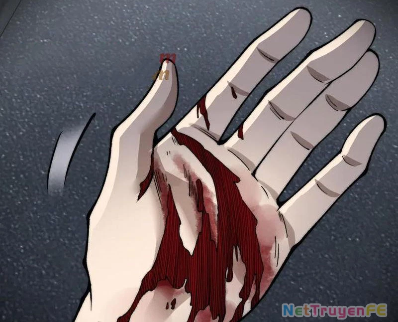 Sức Mạnh Tối Đa? Ta Lại Là Vong Linh Sư! Chapter 56 - Trang 4