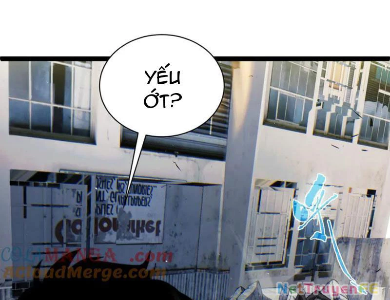 Sức Mạnh Tối Đa? Ta Lại Là Vong Linh Sư! Chapter 57 - Trang 4