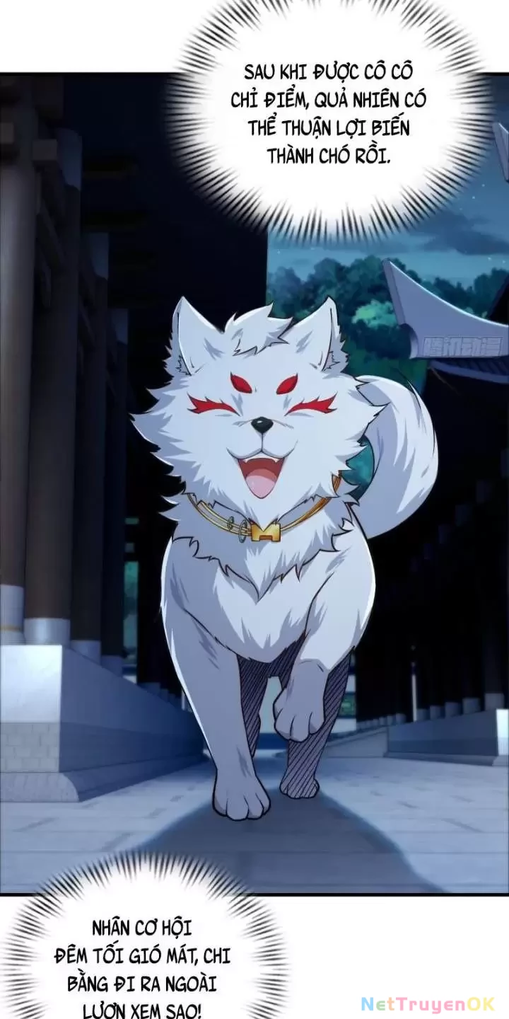 Xuyên Không Thành Npc: Ta Có Lão Bà Che Chở Chapter 72 - Trang 3