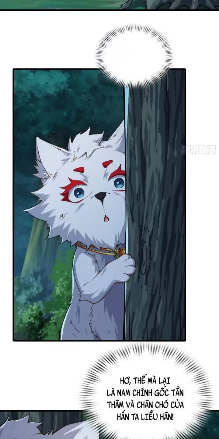 Xuyên Không Thành Npc: Ta Có Lão Bà Che Chở Chapter 72 - Trang 3