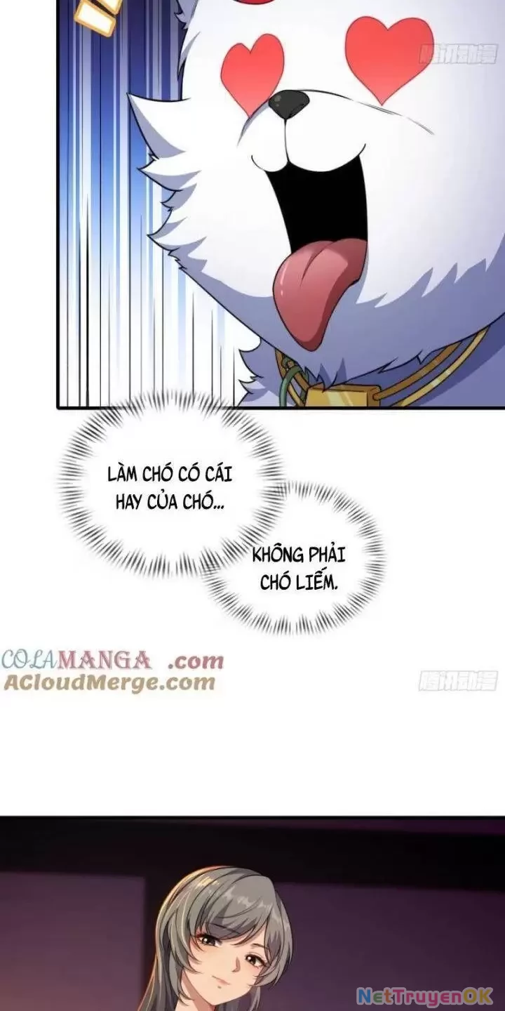 Xuyên Không Thành Npc: Ta Có Lão Bà Che Chở Chapter 73 - Trang 3