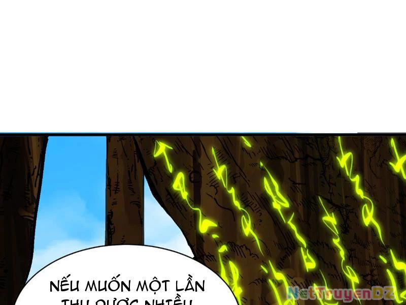 Chư Thần Làm Vợ: Ta Vô Địch Võng Du Chapter 4 - Trang 2