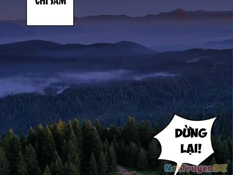 Chư Thần Làm Vợ: Ta Vô Địch Võng Du Chapter 9 - Trang 2