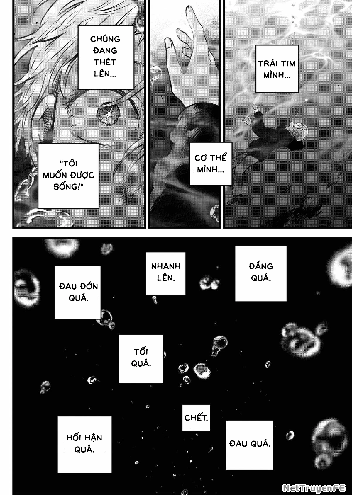 Đứa Con Của Thần Tượng Chapter 164 - Trang 2