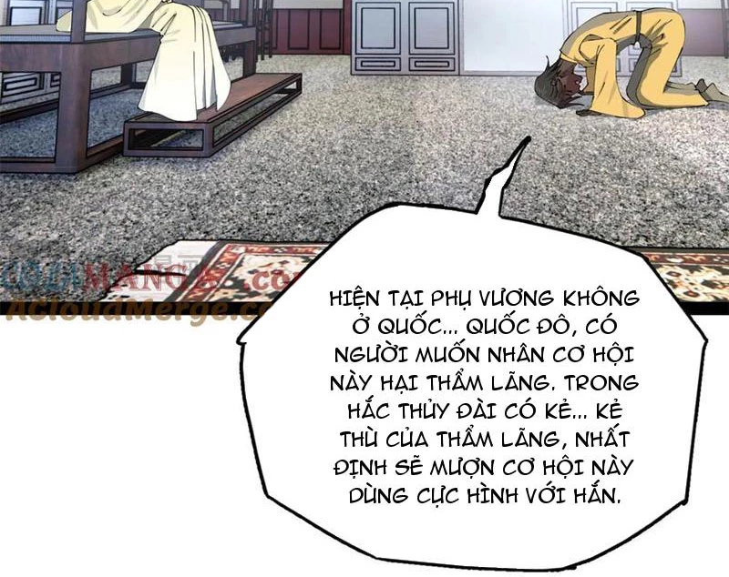 Chàng Rể Mạnh Nhất Lịch Sử Chapter 240 - Trang 4