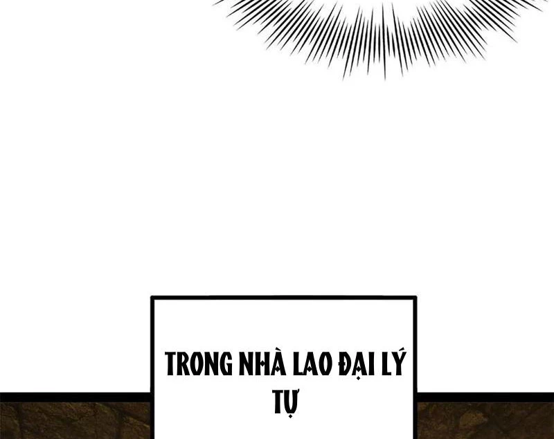 Chàng Rể Mạnh Nhất Lịch Sử Chapter 240 - Trang 4