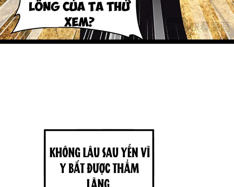 Chàng Rể Mạnh Nhất Lịch Sử Chapter 240 - Trang 4