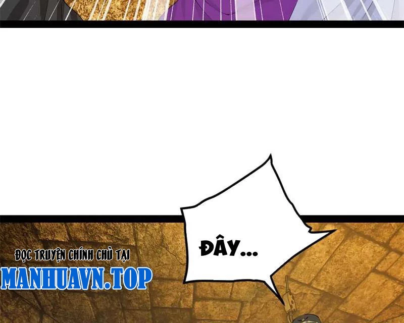 Chàng Rể Mạnh Nhất Lịch Sử Chapter 240 - Trang 4