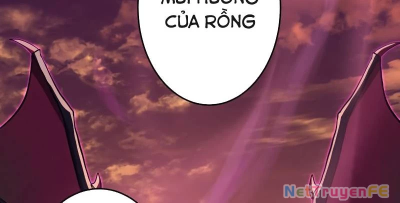 Zero 0 - Vựơt Qua Cả Ma Pháp Thời Không Chapter 6 - Trang 3