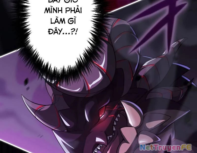 Zero 0 - Vựơt Qua Cả Ma Pháp Thời Không Chapter 7 - Trang 3
