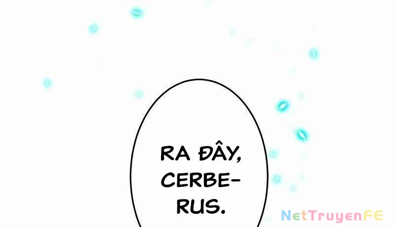 Zero 0 - Vựơt Qua Cả Ma Pháp Thời Không Chapter 20 - Trang 3