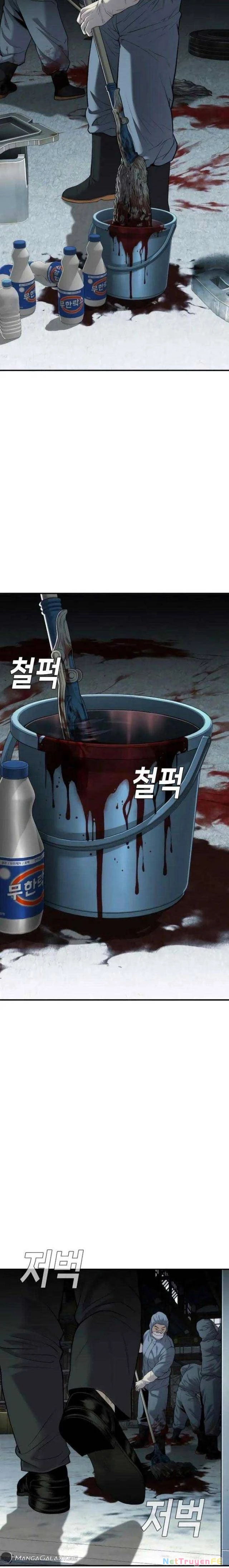 Đứa Con Báo Thù Chapter 17 - Next Chapter 18