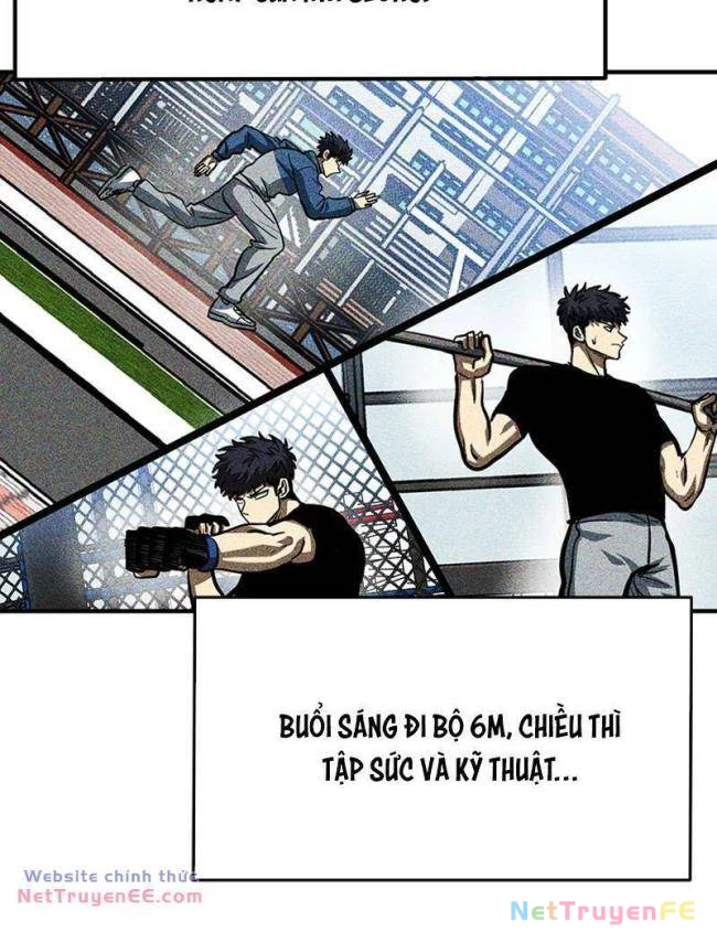 Vua Võ Đài Chapter 56 - Trang 4