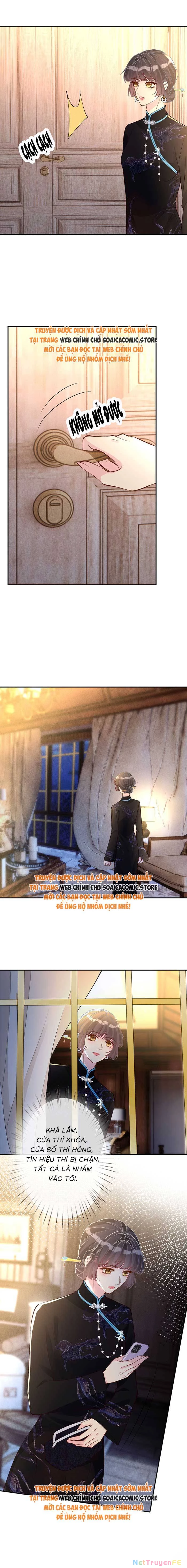 Ôm Khẩn Tiểu Mã Giáp Của Tôi Chapter 337 - Trang 4