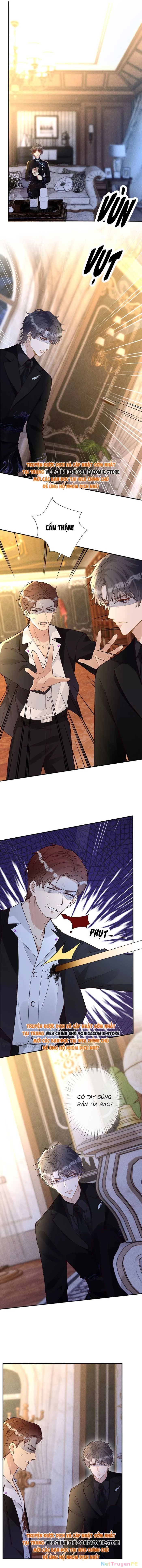 Ôm Khẩn Tiểu Mã Giáp Của Tôi Chapter 337 - Trang 4