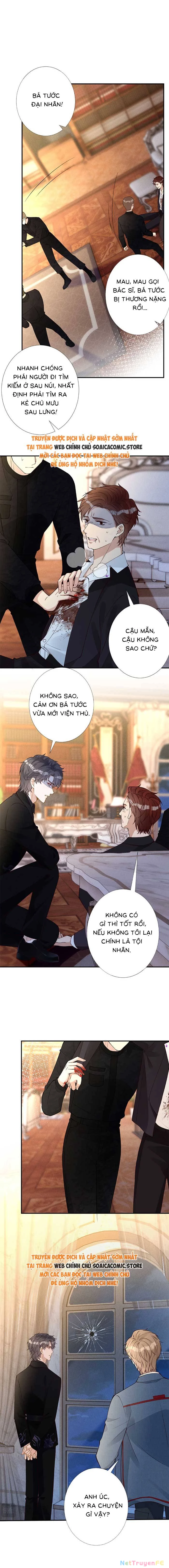 Ôm Khẩn Tiểu Mã Giáp Của Tôi Chapter 337 - Trang 4