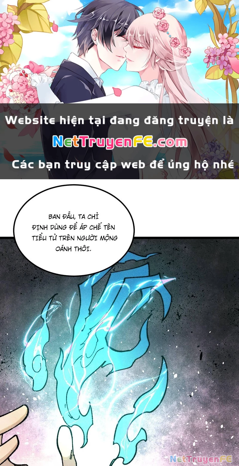 Vạn Cổ Tối Cường Tông Chapter 369 - Trang 4