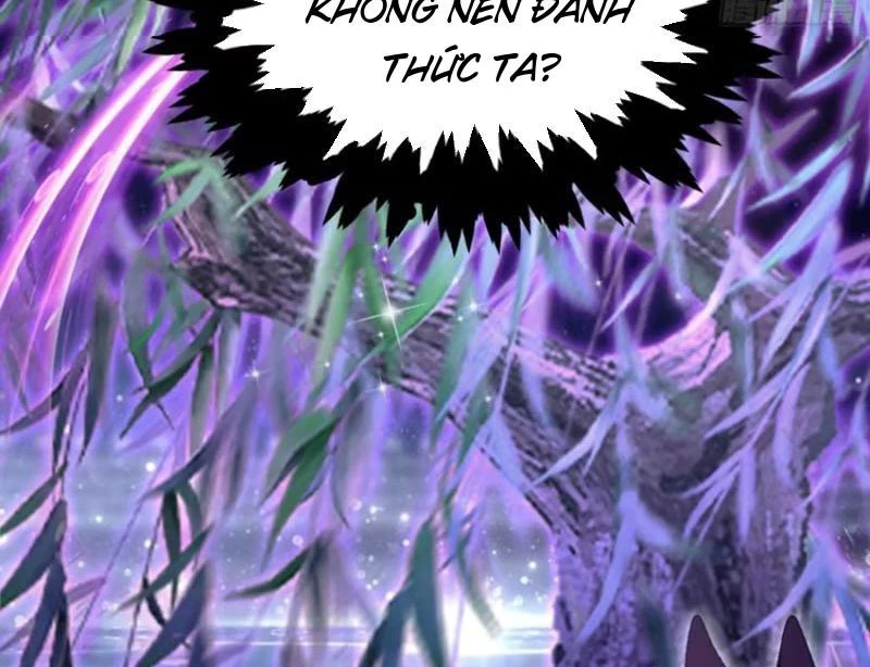 Hoá Ra Ta Đã Vô Địch Từ Lâu Chapter 198 - Trang 4