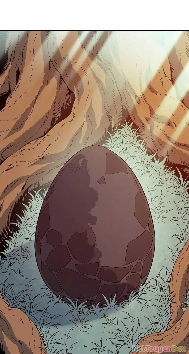 Độc Cô Tử Linh Sư Chapter 150 - Trang 4