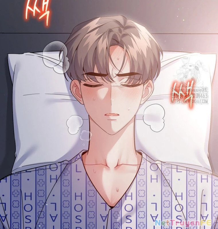 Hướng Dẫn Hồi Quy Dành Cho Thần Tượng Chapter 31 - Trang 3