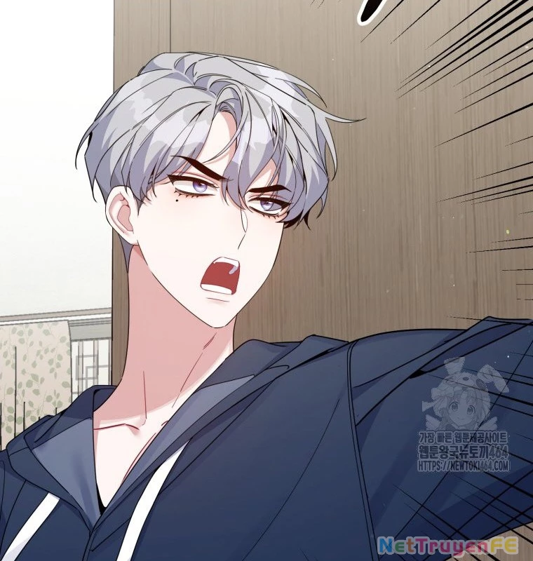 Hướng Dẫn Hồi Quy Dành Cho Thần Tượng Chapter 32 - Trang 3