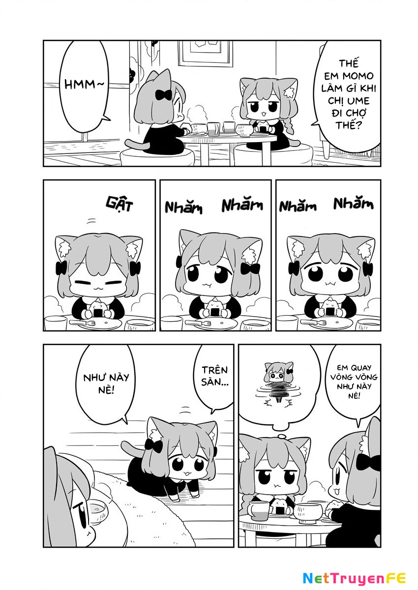 Cuộc sống đời thường của Ume và Momo Chapter 1 - Trang 2