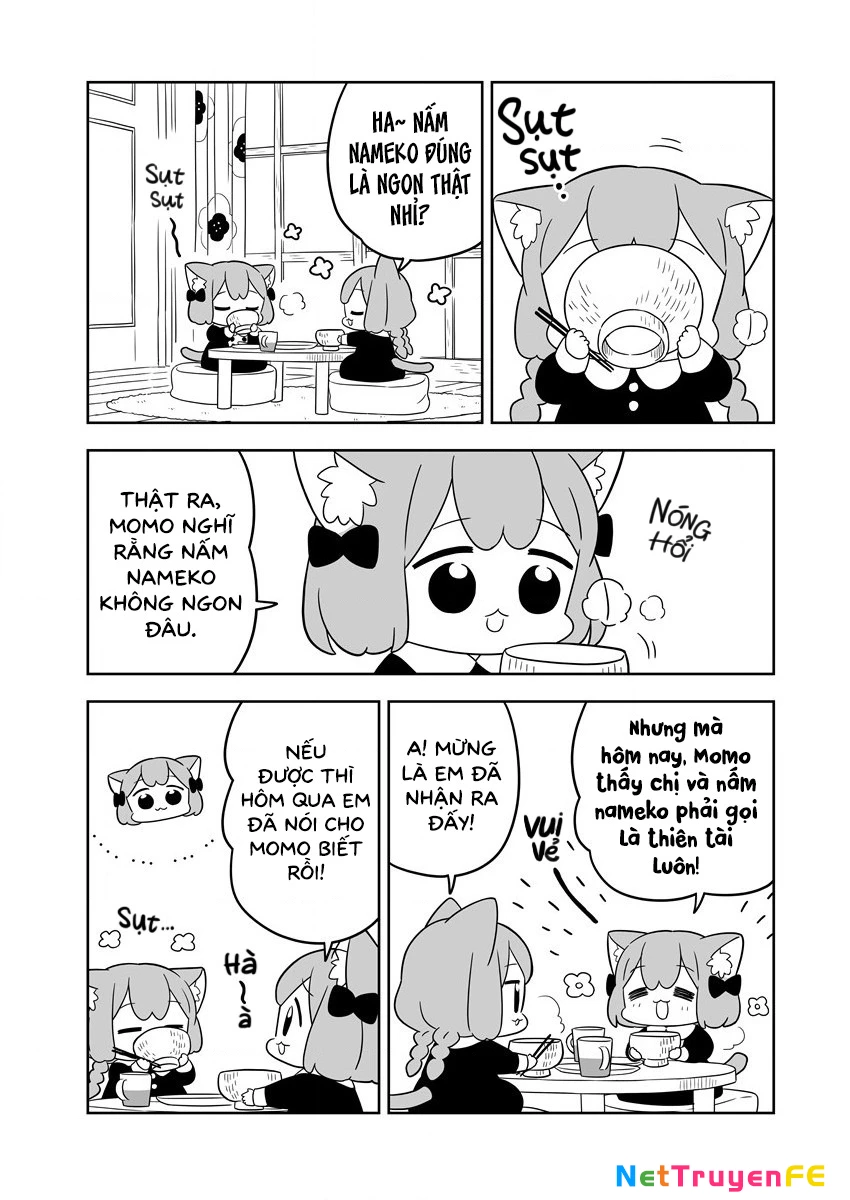 Cuộc sống đời thường của Ume và Momo Chapter 1 - Trang 2