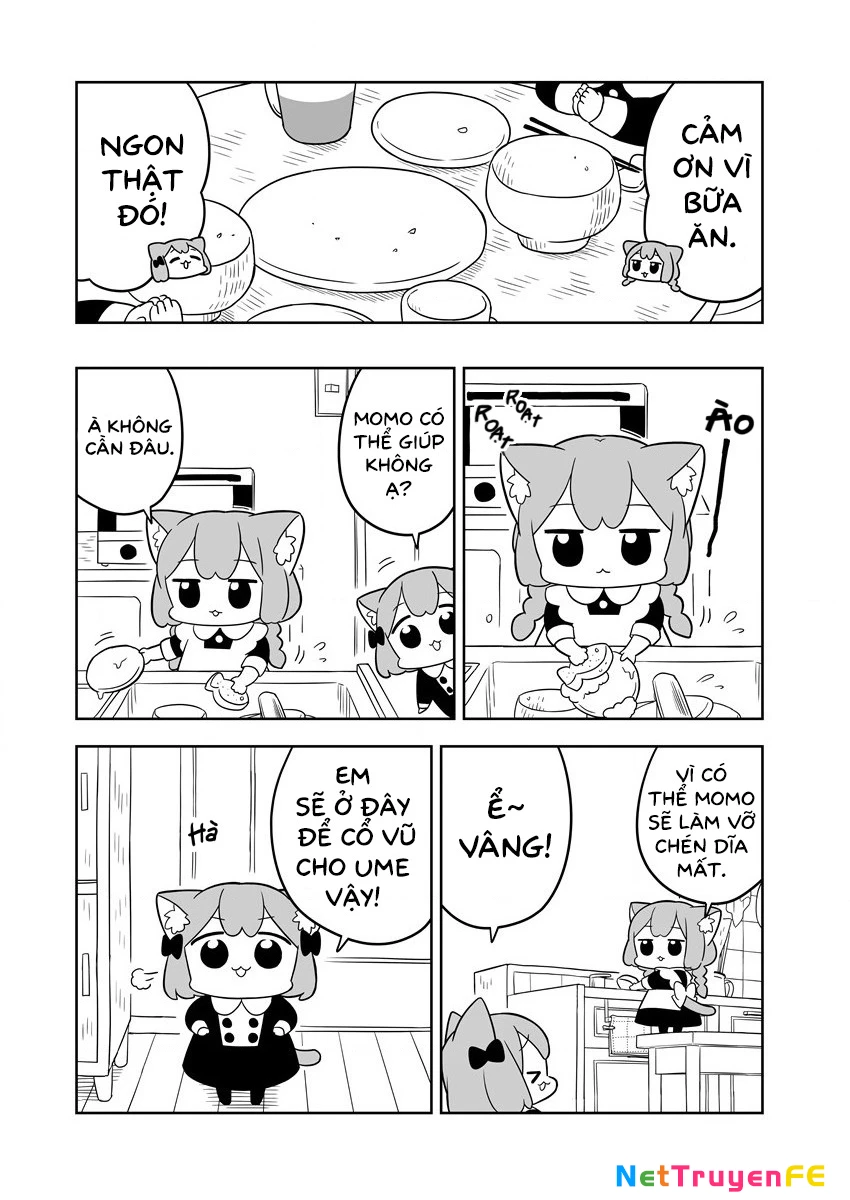 Cuộc sống đời thường của Ume và Momo Chapter 1 - Trang 2