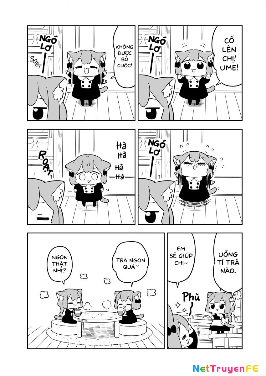 Cuộc sống đời thường của Ume và Momo Chapter 1 - Trang 2
