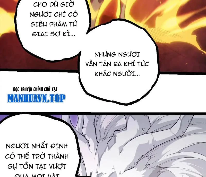 Chuyển Sinh Thành Liễu Đột Biến Chapter 293 - Trang 4