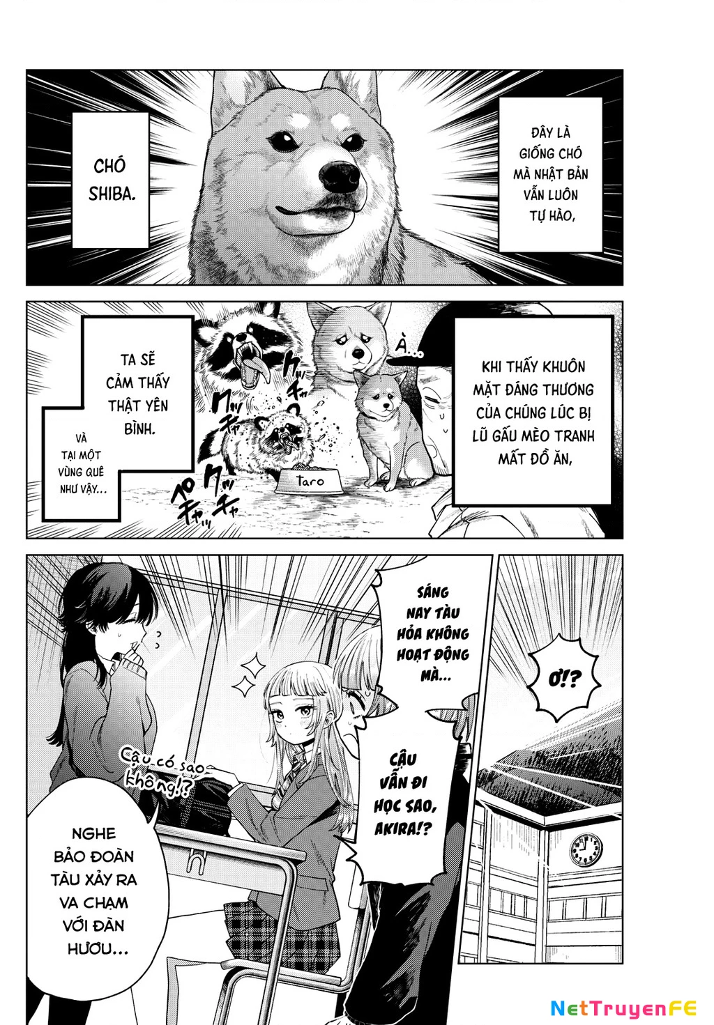 Mối tình đầu đầy trắc trở của Momose Akira Chapter 13 - Trang 3