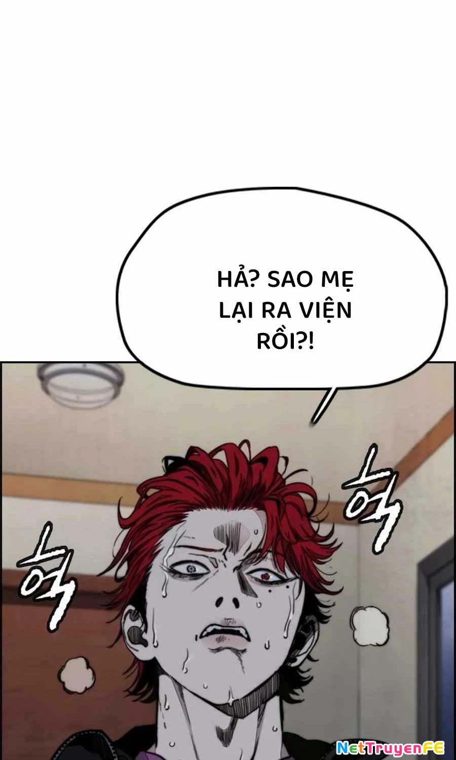 Thể Thao Cực Hạn Chapter 522 - Trang 4